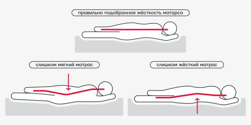 правильно подобранный матрас правильно выбрать матрас