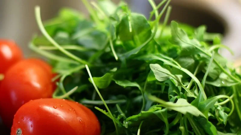 руккола польза для нашего организма