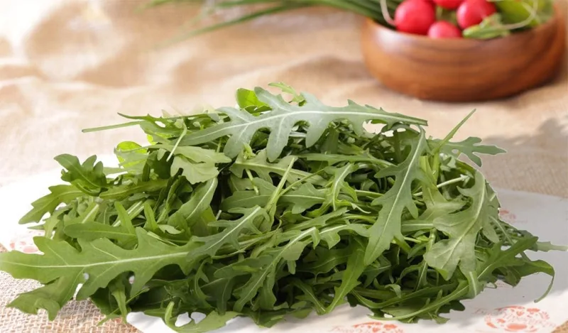 Чем полезна руккола