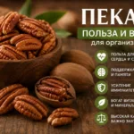 Пекан — польза и вред: чем полезен орех для сердца, мозга и организма человека